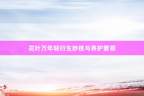 花叶万年轻衍生妙技与养护要领