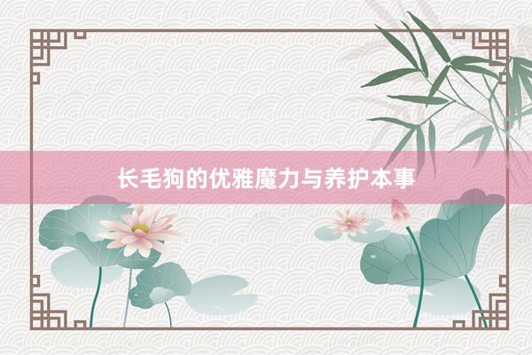 长毛狗的优雅魔力与养护本事