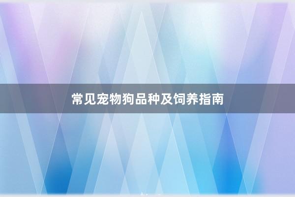 常见宠物狗品种及饲养指南